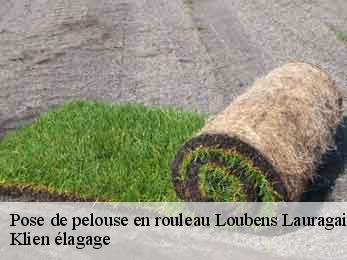 pose-de-pelouse-en-rouleau