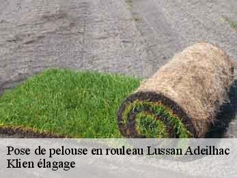 pose-de-pelouse-en-rouleau