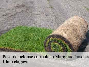 pose-de-pelouse-en-rouleau