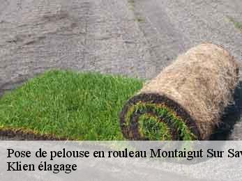 pose-de-pelouse-en-rouleau