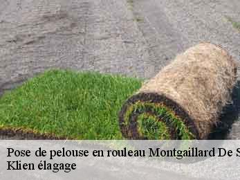 pose-de-pelouse-en-rouleau