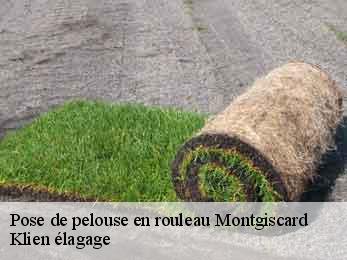 pose-de-pelouse-en-rouleau