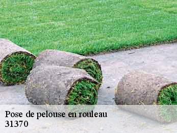 pose-de-pelouse-en-rouleau