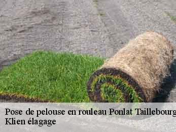 pose-de-pelouse-en-rouleau