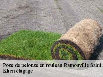 pose-de-pelouse-en-rouleau