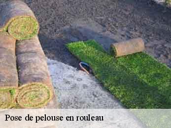 pose-de-pelouse-en-rouleau