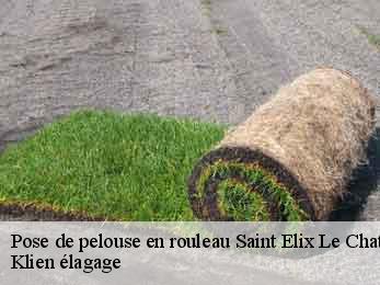 pose-de-pelouse-en-rouleau