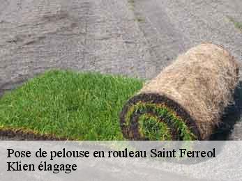 pose-de-pelouse-en-rouleau