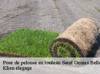 pose-de-pelouse-en-rouleau