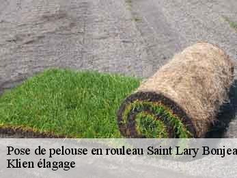 pose-de-pelouse-en-rouleau