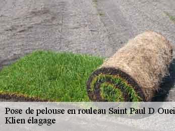 pose-de-pelouse-en-rouleau