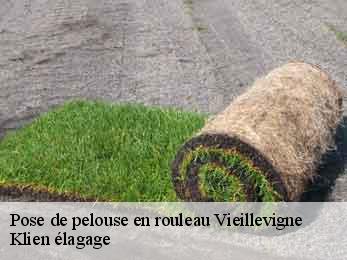 pose-de-pelouse-en-rouleau