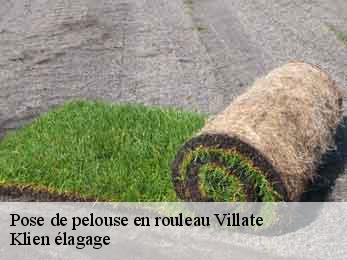 pose-de-pelouse-en-rouleau