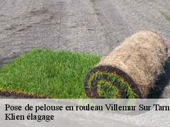 pose-de-pelouse-en-rouleau