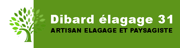 elagage-dibard-elagage-31