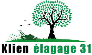 elagage-klien-elagage